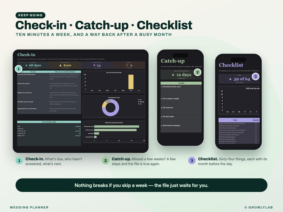 Wedding Planner Spreadsheet for Google Sheets and Excel — check-in and catch-up