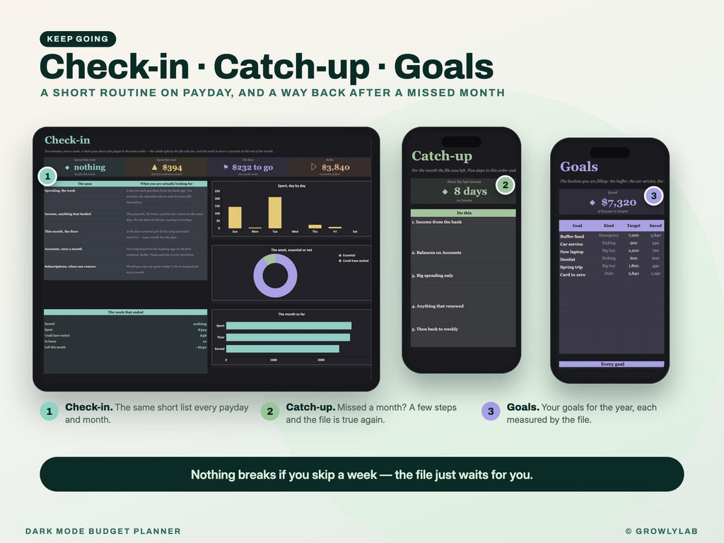 Dark Mode Budget Planner Spreadsheet for Google Sheets and Excel — check-in and catch-up