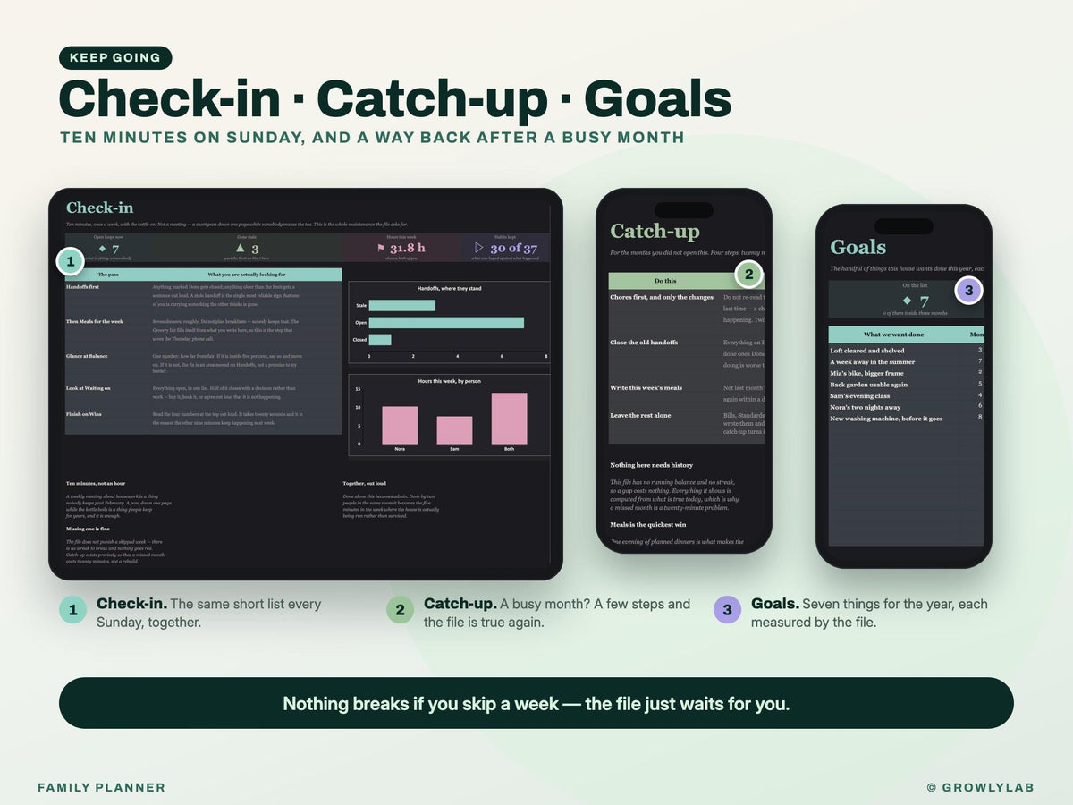 All-in-One Family Planner Spreadsheet (Google Sheets and Excel) — check-in and catch-up