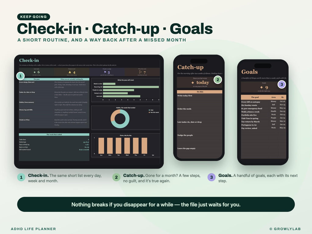 ADHD Life Planner Spreadsheet for Google Sheets and Excel — check-in and catch-up