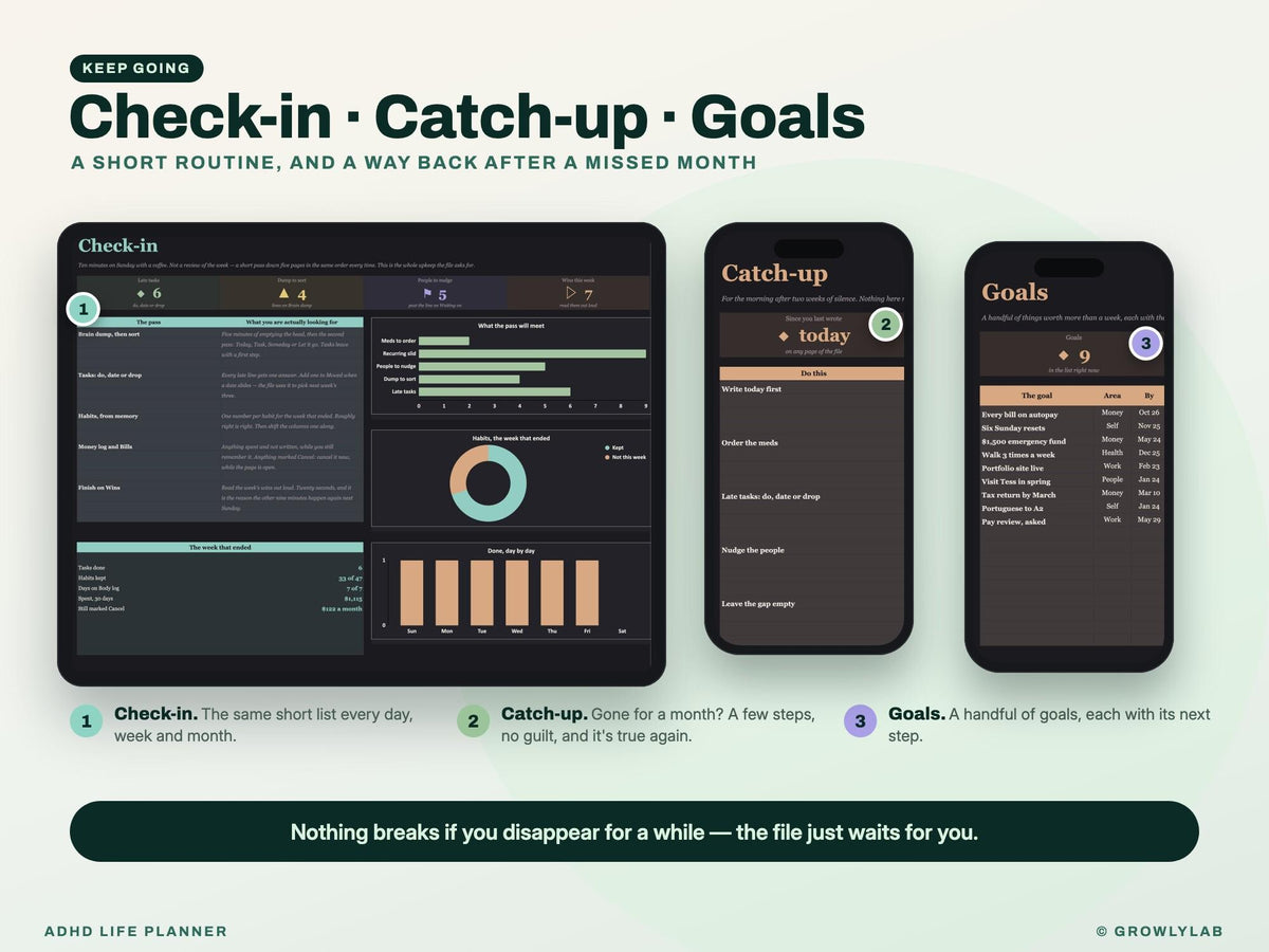 ADHD Life Planner Spreadsheet for Google Sheets and Excel — check-in and catch-up