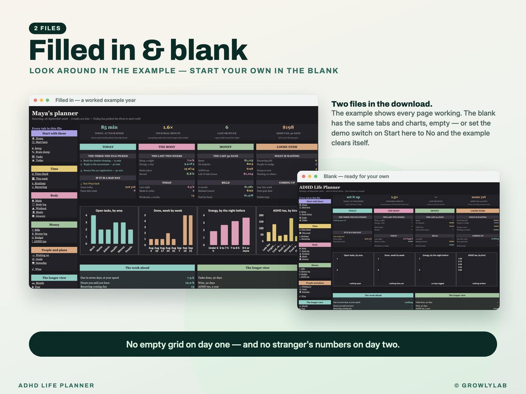 ADHD Life Planner Spreadsheet for Google Sheets and Excel — filled in and blank