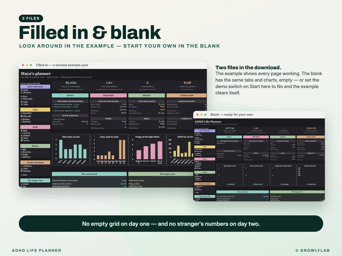 ADHD Life Planner Spreadsheet for Google Sheets and Excel — filled in and blank