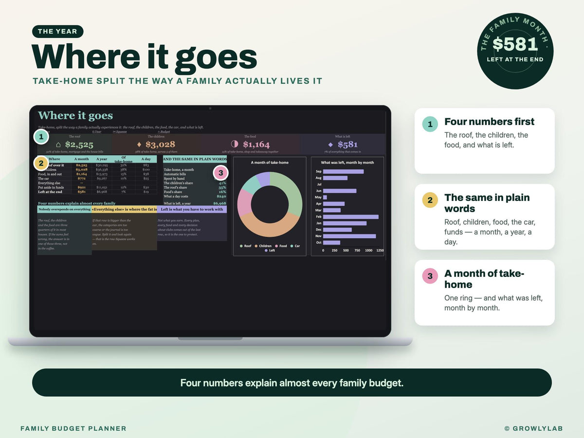 Family Budget Planner Spreadsheet for Google Sheets and Excel — where it goes