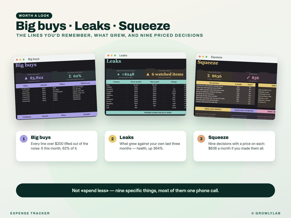 Expense Tracker Spreadsheet for Google Sheets and Excel — big leaks