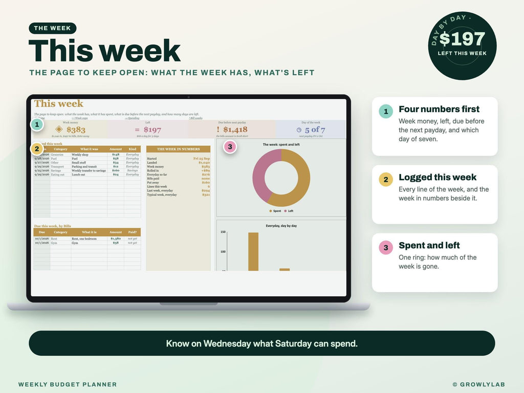 Weekly Budget Planner Spreadsheet for Google Sheets and Excel — this week