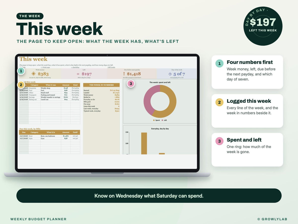 Weekly Budget Planner Spreadsheet for Google Sheets and Excel — this week