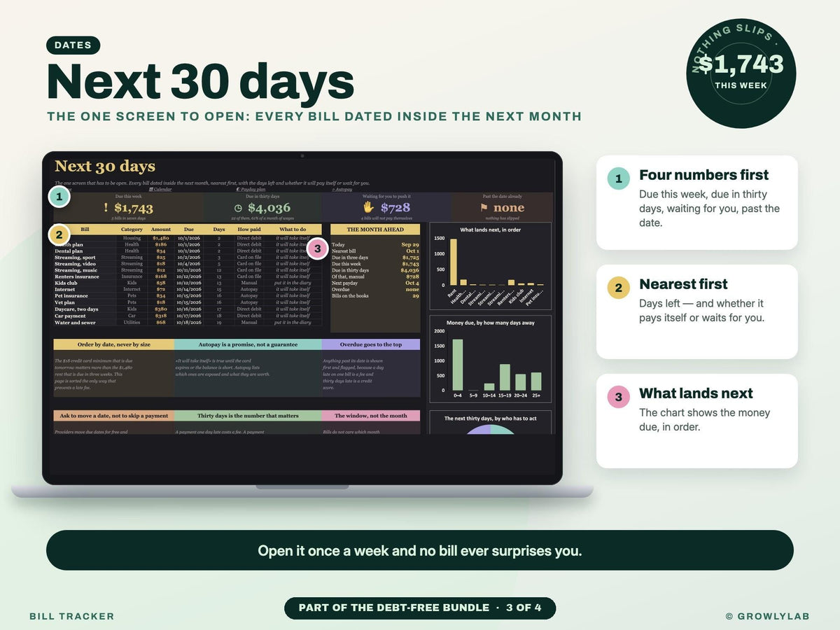 Debt-Free Bundle: Debt Payoff, Paycheck Budget, Bill Tracker and Sinking Funds Spreadsheets — g17 next 30