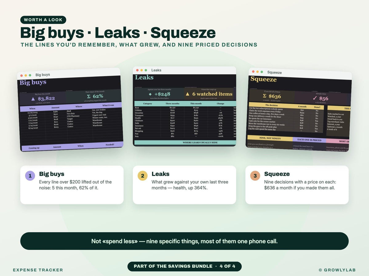 Savings Bundle: Savings Goals, Sinking Funds, Subscription and Expense Tracker Spreadsheets — g5 big leaks