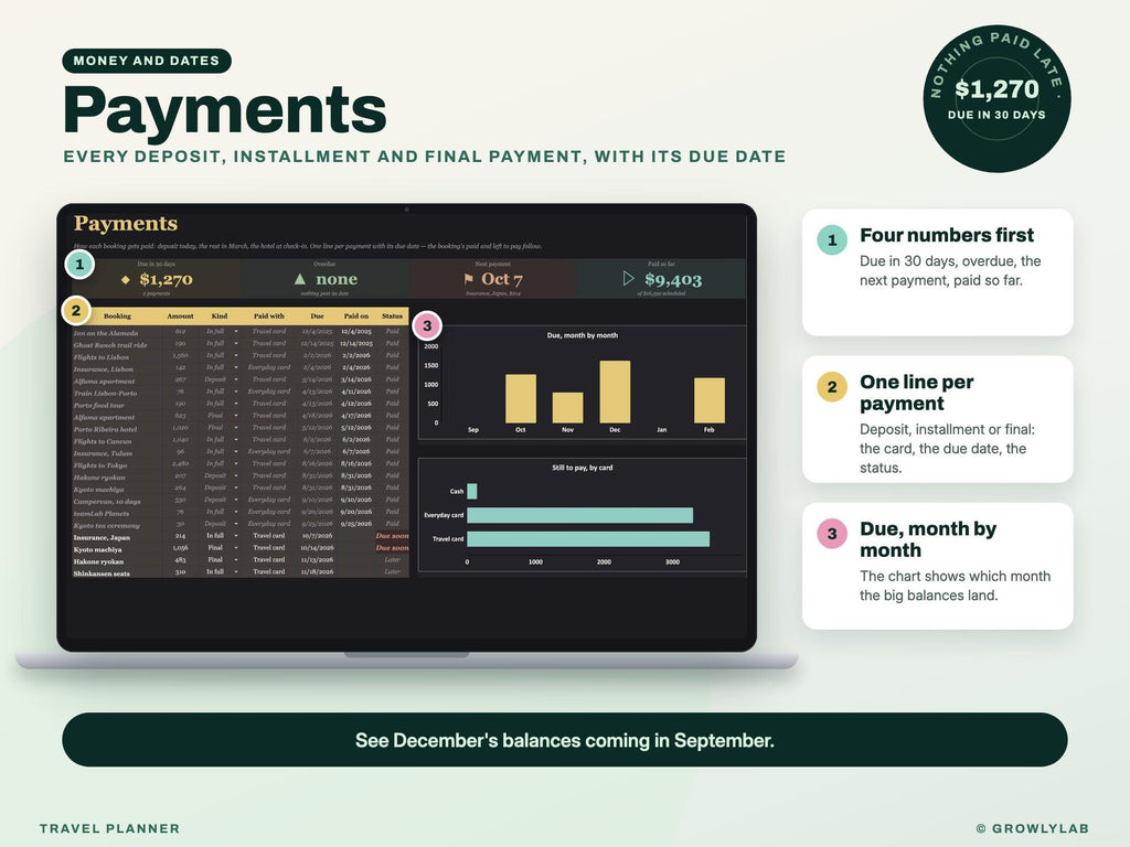Travel Planner Spreadsheet: Trip Budget, Payment Deadlines, Group Costs and Itinerary for Google Sheets and Excel — payments