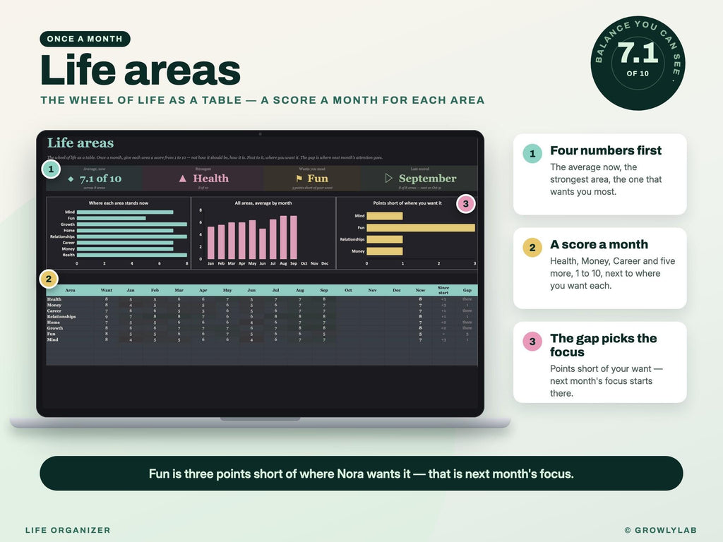 Life Organizer Spreadsheet: 2027 Life Planner with Goals, Habits, Life Admin and Important Documents for Google Sheets and Excel — life areas