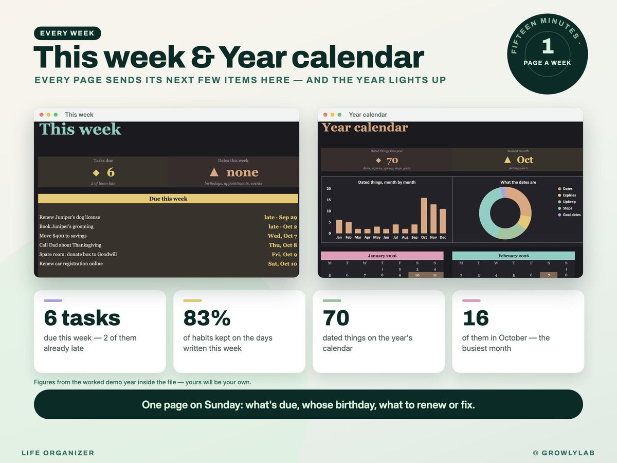 Life Organizer Spreadsheet: 2027 Life Planner with Goals, Habits, Life Admin and Important Documents for Google Sheets and Excel — week calendar