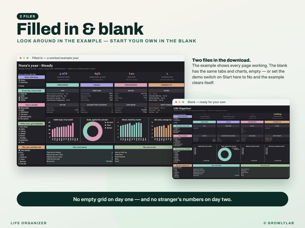 Life Organizer Spreadsheet: 2027 Life Planner with Goals, Habits, Life Admin and Important Documents for Google Sheets and Excel — filled in and blank