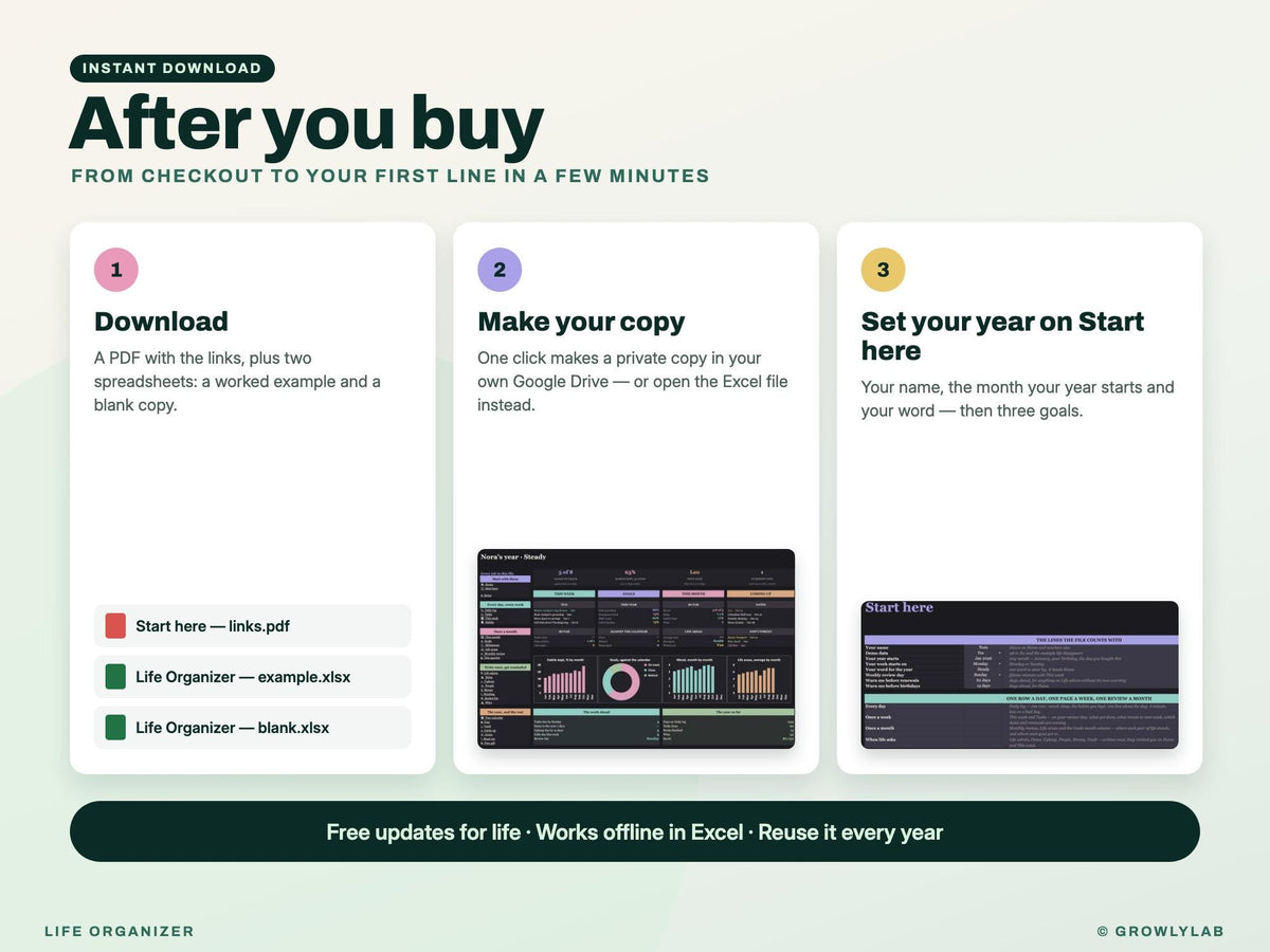 Life Organizer Spreadsheet: 2027 Life Planner with Goals, Habits, Life Admin and Important Documents for Google Sheets and Excel — after you buy