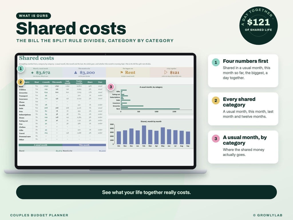 Couples Budget Planner Spreadsheet for Google Sheets and Excel — shared costs