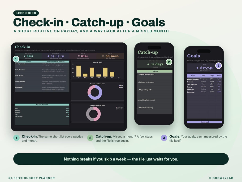 50/30/20 Budget Planner Spreadsheet for Google Sheets and Excel — check-in and catch-up