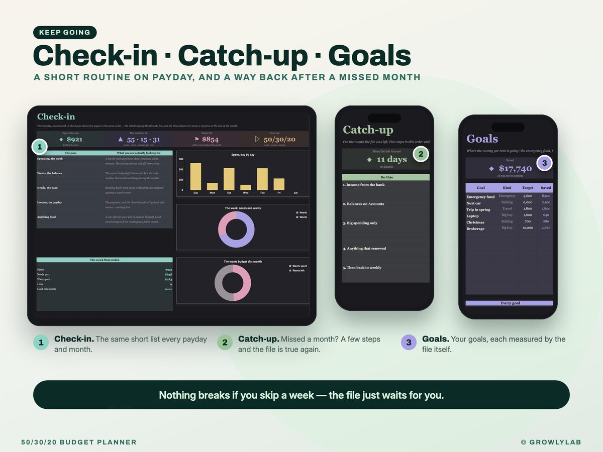 50/30/20 Budget Planner Spreadsheet for Google Sheets and Excel — check-in and catch-up