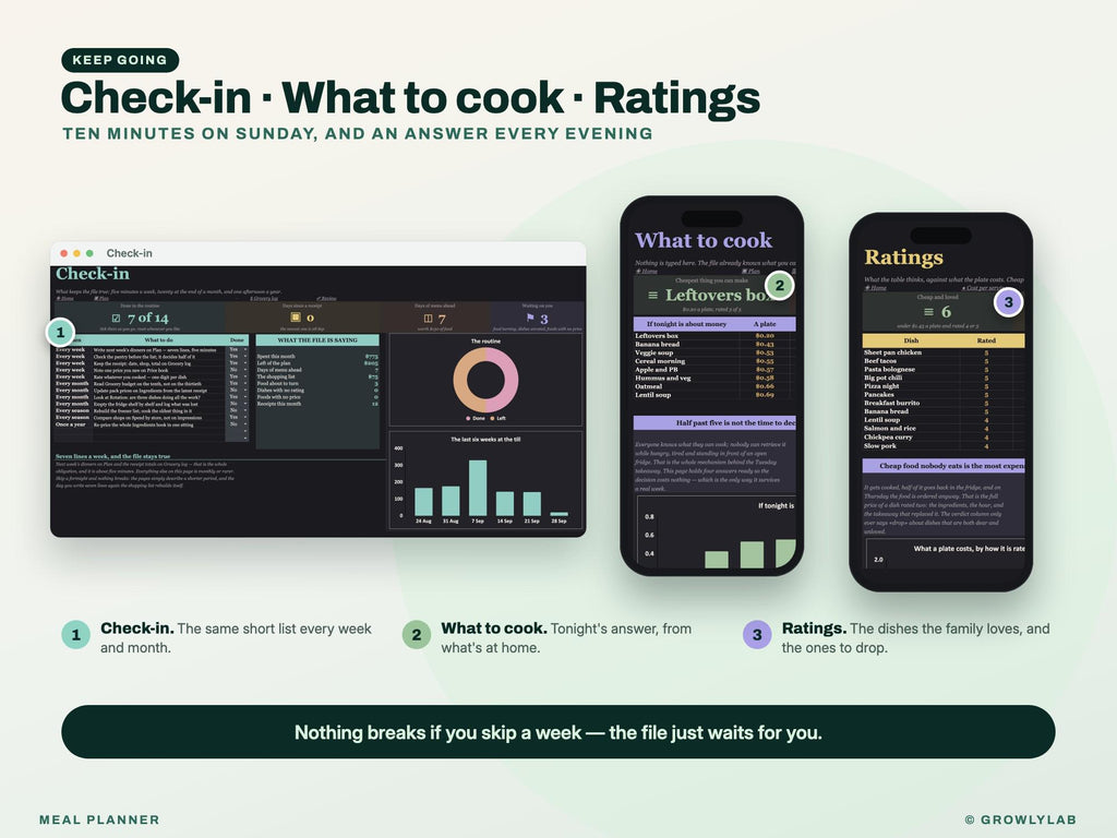 Meal Planner Spreadsheet for Google Sheets and Excel — check-in and catch-up