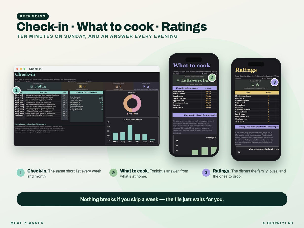 Meal Planner Spreadsheet for Google Sheets and Excel — check-in and catch-up