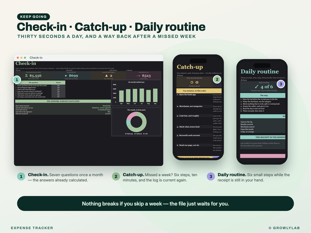 Expense Tracker Spreadsheet for Google Sheets and Excel — check-in and catch-up