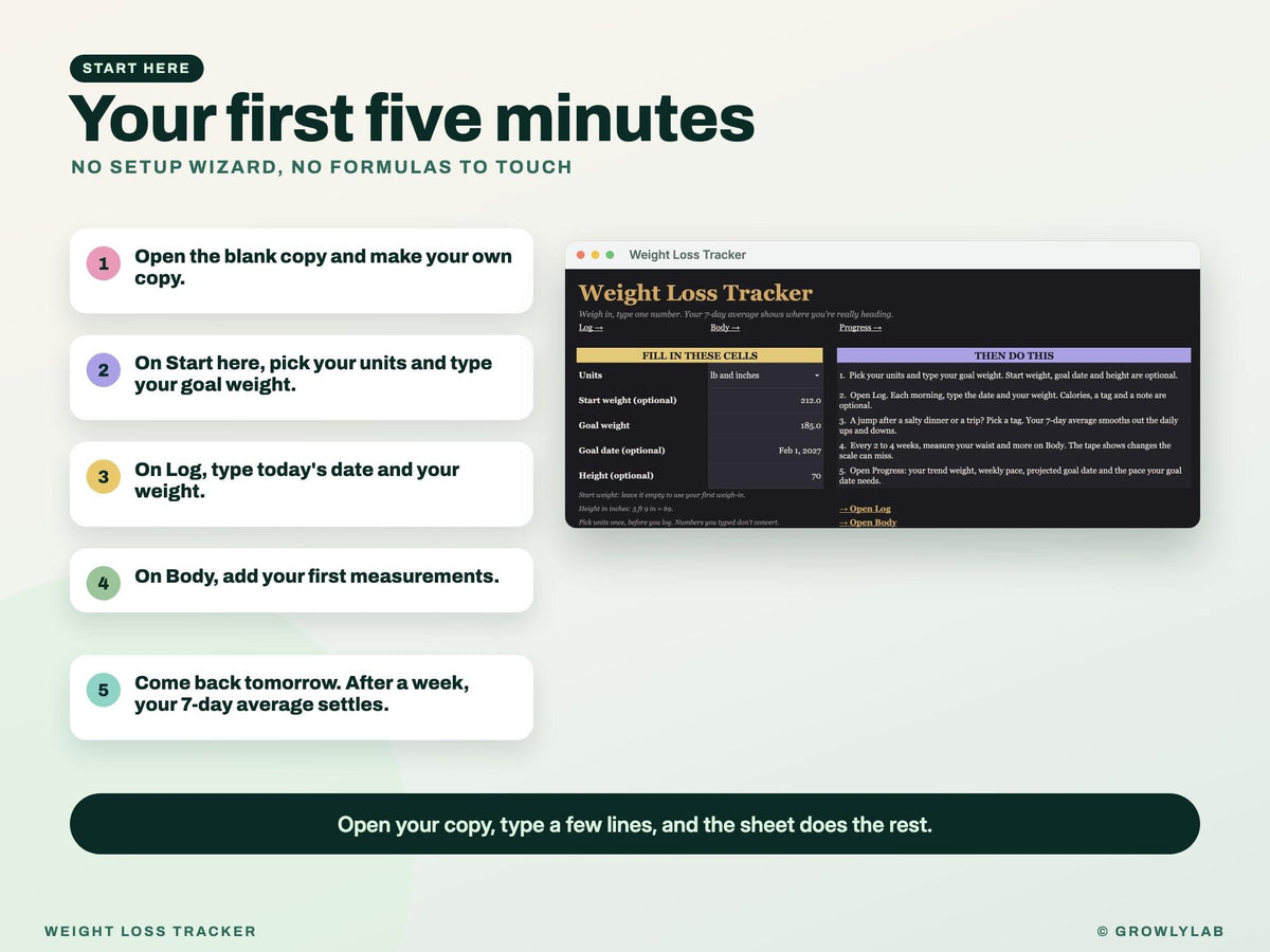 Weight Loss Tracker Google Sheets Excel Spreadsheet — start
