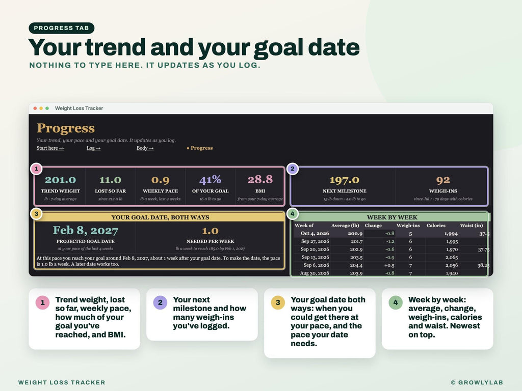 Weight Loss Tracker Google Sheets Excel Spreadsheet — progress