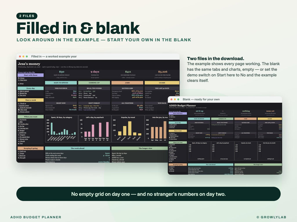 ADHD Budget Planner Spreadsheet for Google Sheets and Excel — filled in and blank