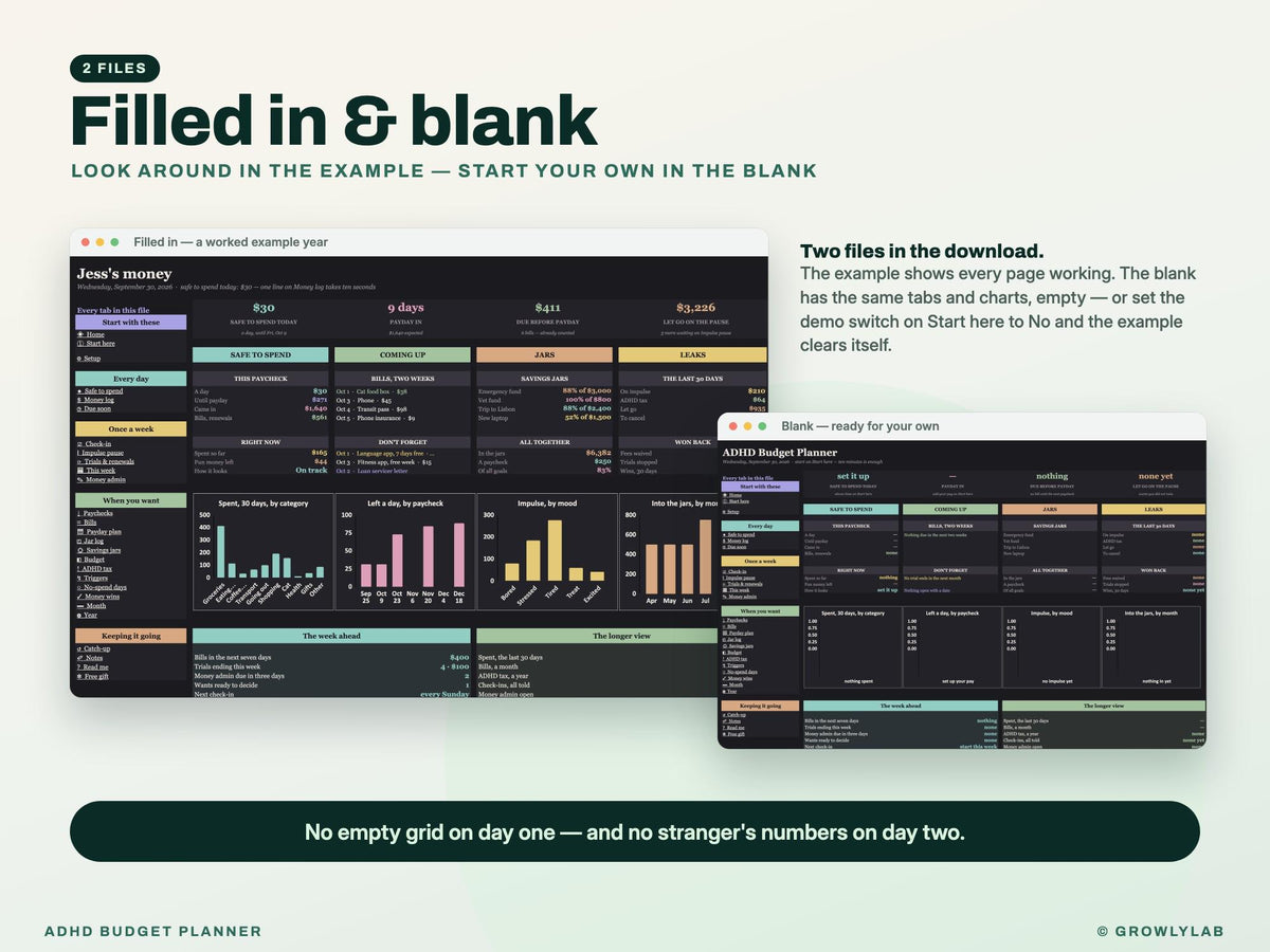 ADHD Budget Planner Spreadsheet for Google Sheets and Excel — filled in and blank