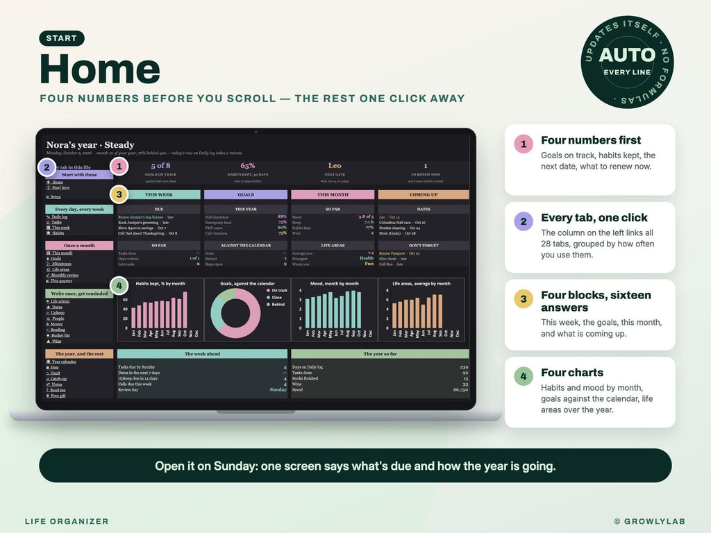 Life Organizer Spreadsheet: 2027 Life Planner with Goals, Habits, Life Admin and Important Documents for Google Sheets and Excel — Home dashboard