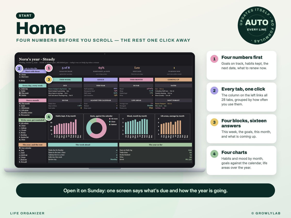 Life Organizer Spreadsheet: 2027 Life Planner with Goals, Habits, Life Admin and Important Documents for Google Sheets and Excel — Home dashboard