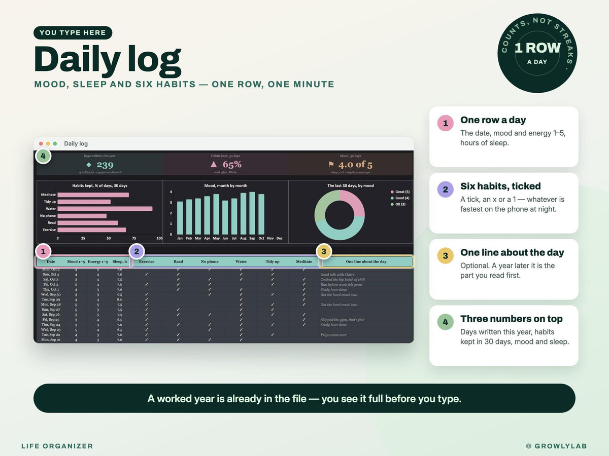 Life Organizer Spreadsheet: 2027 Life Planner with Goals, Habits, Life Admin and Important Documents for Google Sheets and Excel — where you type