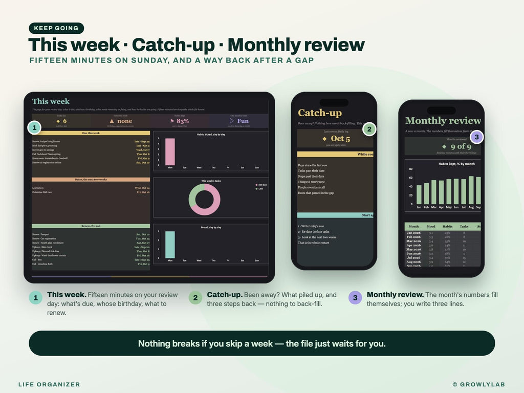 Life Organizer Spreadsheet: 2027 Life Planner with Goals, Habits, Life Admin and Important Documents for Google Sheets and Excel — check-in and catch-up