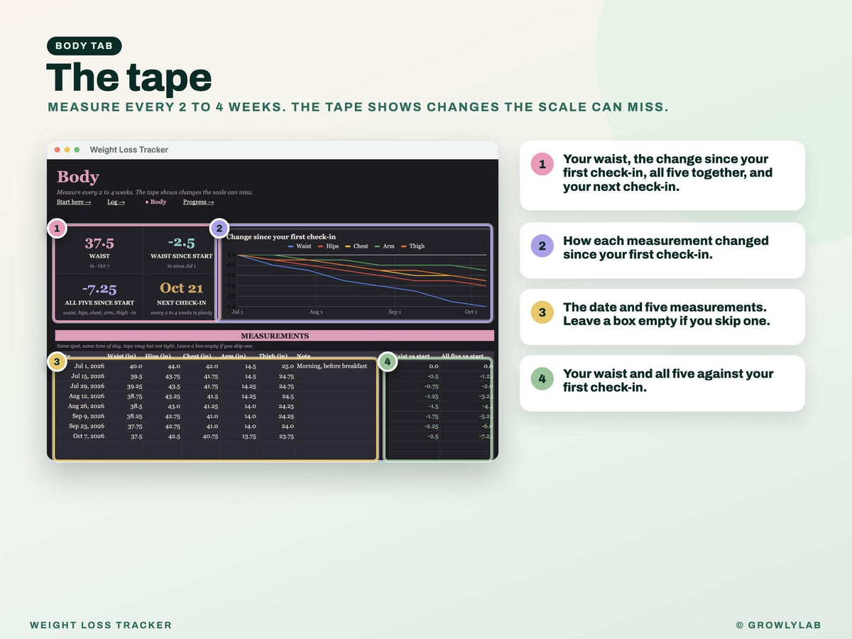 Weight Loss Tracker Google Sheets Excel Spreadsheet — body