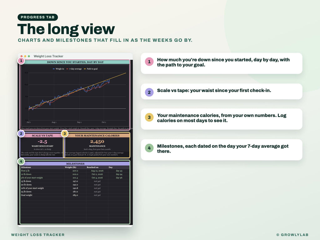 Weight Loss Tracker Google Sheets Excel Spreadsheet — progress