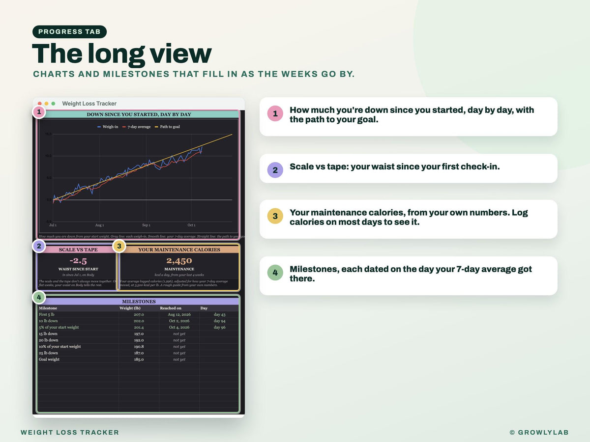 Weight Loss Tracker Google Sheets Excel Spreadsheet — progress
