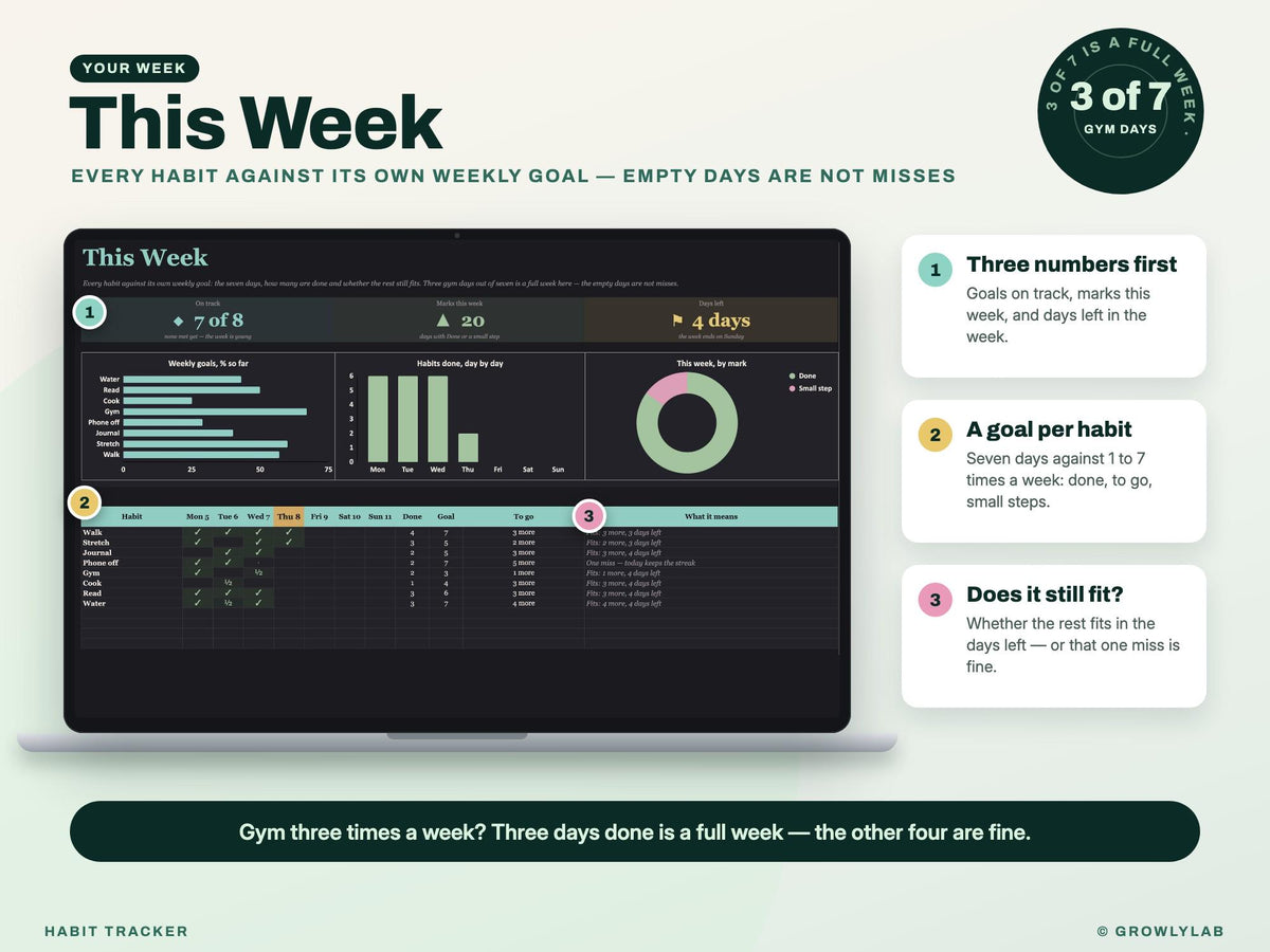 Habit Tracker Spreadsheet Google Sheets Excel Dark Mode Yearly Habit Planner Daily Weekly Habit Goals Routine Tracker Streak Tracker — this week