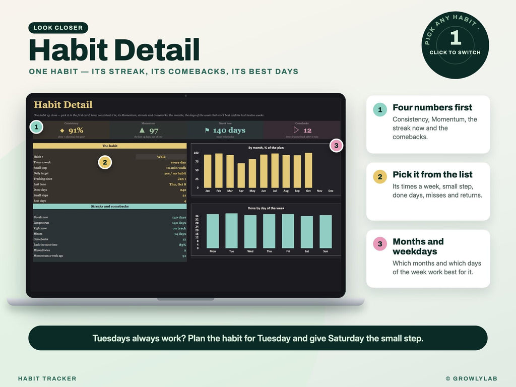 Habit Tracker Spreadsheet Google Sheets Excel Dark Mode Yearly Habit Planner Daily Weekly Habit Goals Routine Tracker Streak Tracker — habit detail
